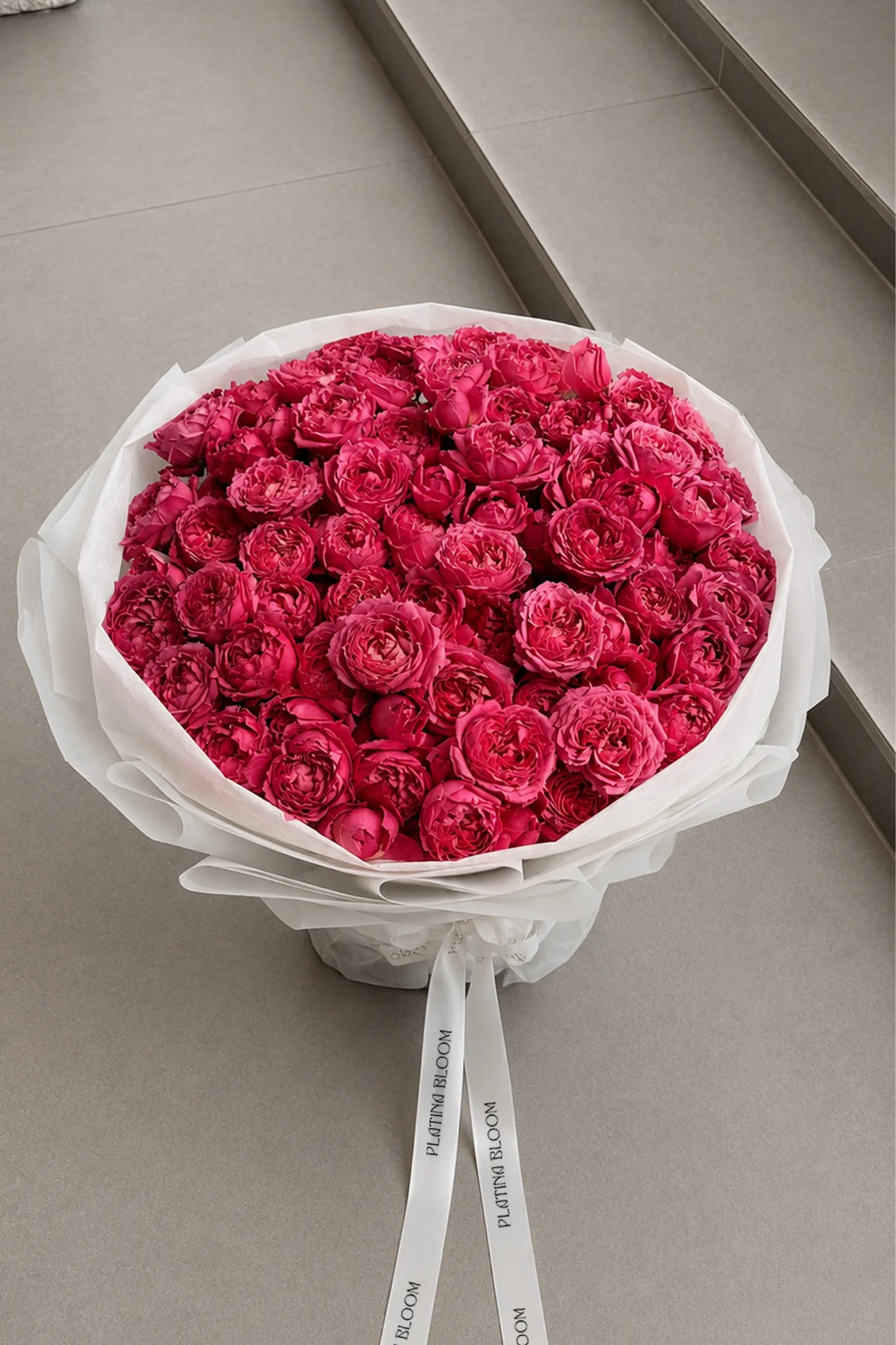 Raspberry Rose